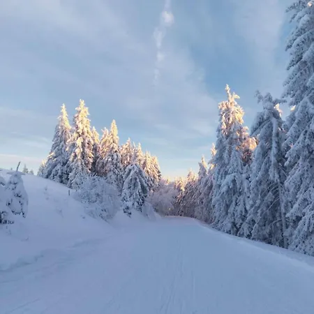 Kleine Auszeit Apartament Schönau im Schwarzwald
