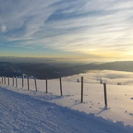 Kleine Auszeit Apartament Schönau im Schwarzwald